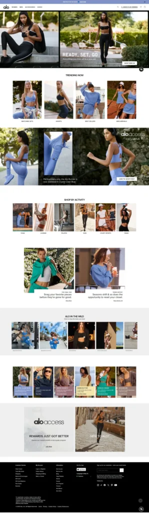 Professional digital services for small businesses of website design for shopify